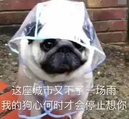  最近超火的聊天专用表情,你是怪我可爱喽