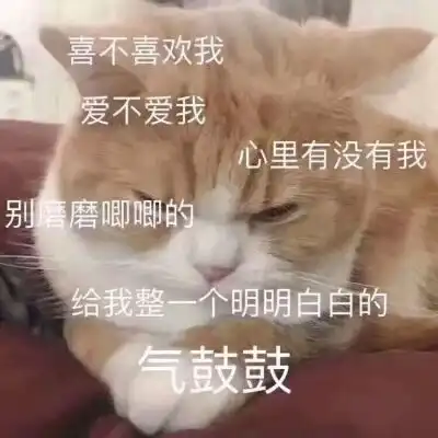  e句话看天下丨王子文还真恋爱了