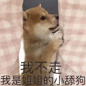  舔狗系列表情包合集我要做你的专属舔狗