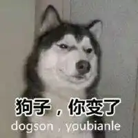  抖音狗子出列表情包微信头像图片大全
