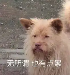  风向已变1.5万买高新1.6万买蜀山1.8万买滨湖能抄底了......