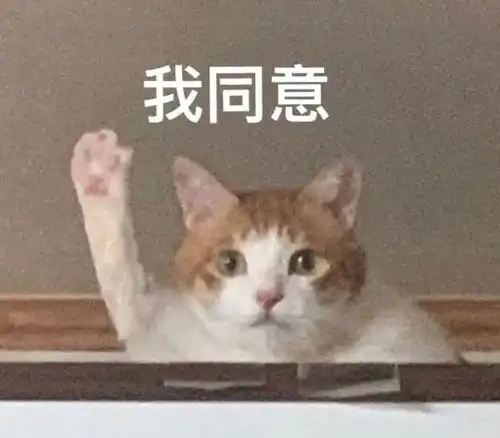  特殊抓拍福州交警高清曝光这些人闽a5cf10闽a328al闽af01112