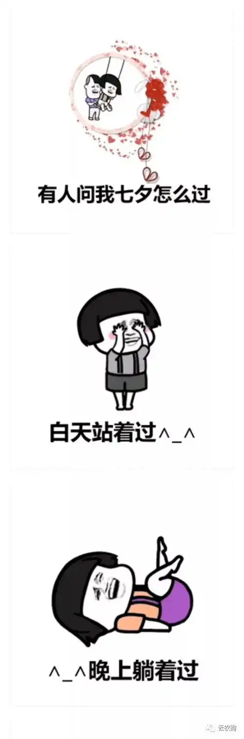  有人问七夕情人节怎么过可用表情包这样答复他