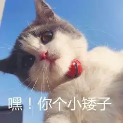 喝牛奶表情包表白