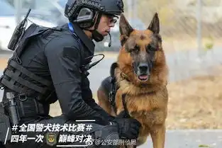  警犬贴了创可贴走红,表情包都出了网友这是男子汉的勋章