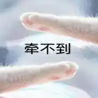 猫爪牵手表情包全套qq表