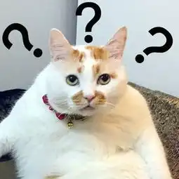  我的表情包,去世了...