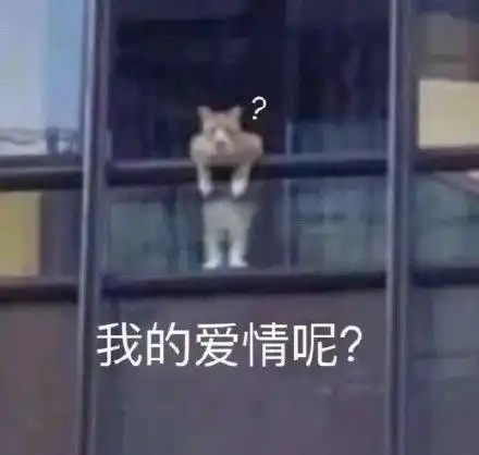 倒数表情包微信