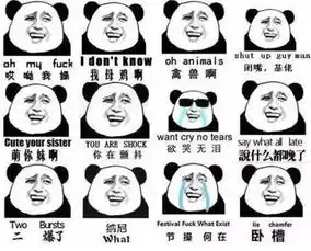  史上最全斗图装逼指南,给你们一个偷我表情包的机会
