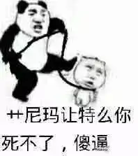  表情包是我偷来的,想撩你是认真的