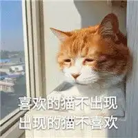  生无可恋猫咪表情下载生无可恋猫咪超萌表情包高清无水印极光下载站