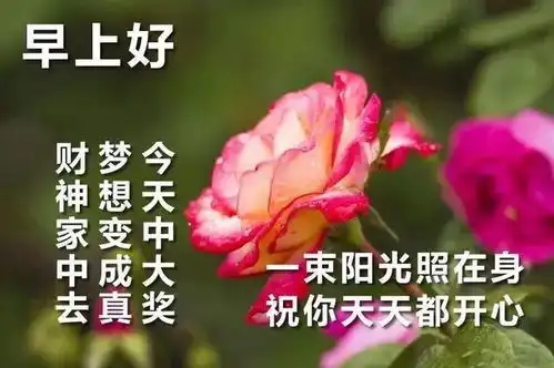  6张最新免打字漂亮鲜花早上好问候图片唯美夏日早安问候祝福图片鲜花带字