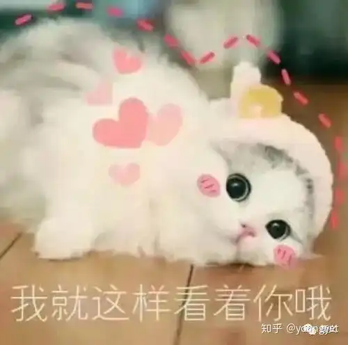 渣男谢霆锋凭啥能撩到张柏芝,让王菲吃醋