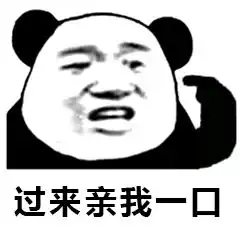  哄我不一定有用,但不哄我你死定了猫咪