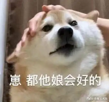  在看王子病的春天我太难受了看哭了好几次特别是爸爸再婚