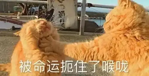  萧山小伙换了份工作遭家人嘲讽拆台他说有种要被逐出家门的感觉