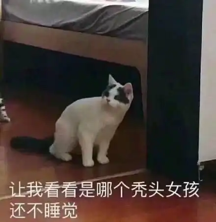  我的收藏夹