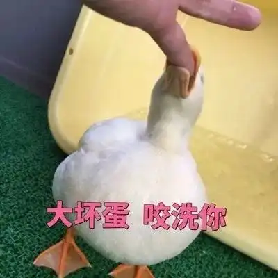  最近这只鸭子火了全套表情包都为你集齐了,快保存