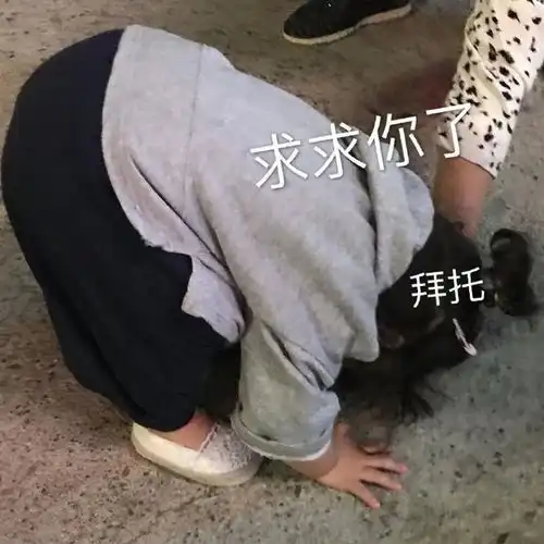 热门表情包图片我错了,我太难了,伤心总是难免 热门表情包图片我错了,我太难了,伤心总是难免