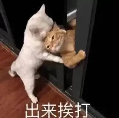  云裳传自视甚美靠整容傍金猪耍心机逼退情敌的当红小花
