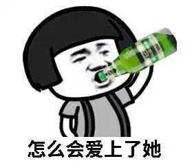  只有总结写给自己看的2020年总结