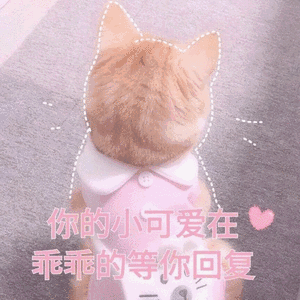  师大线上宝贝集合啦快来领取吧