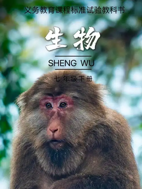  乐山版课本封面,真的惊艳了速来围观