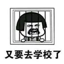  大学是学校重要还是专业重要
