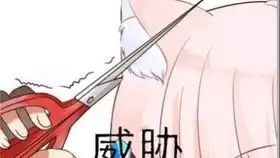  哔哩哔哩干杯bilibili