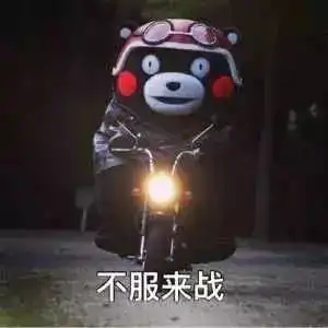  东北人也太特么有意思了吧