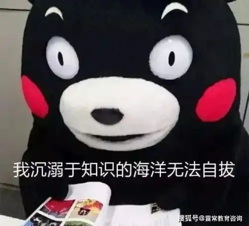  预推免考察方向get提前准备才能领先一步
