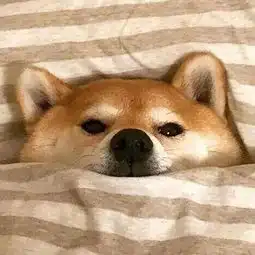  你的一天为什么这么累