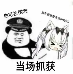  自制雪风表情包p图篇