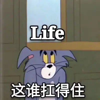 奋斗的表情包图片猫和老