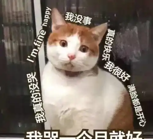 妈咪表情包大全满脸