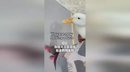  今天教你如何在大街上成功抓鸭鸭笔记记起来捕捉一只小可爱