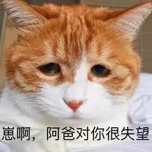  在海宁,公务员vs私企怎么选被老爸逼得喊救命论友这是亲爸