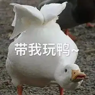  亏哭了双12凌晨有人只用了0.18元就提走两双斯凯奇鞋.....