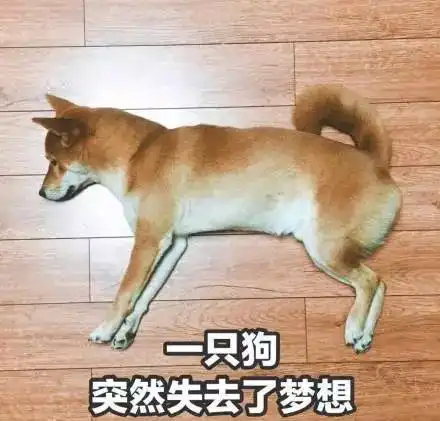 微博单身狗表情包活跃