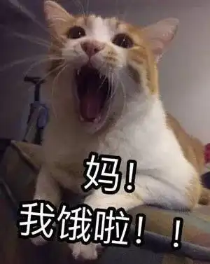  暑假的正确打开方式