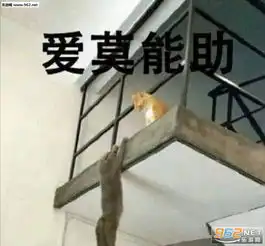  给本萌妹滚表情包搞钱表情包图片下载乐游网游戏下载