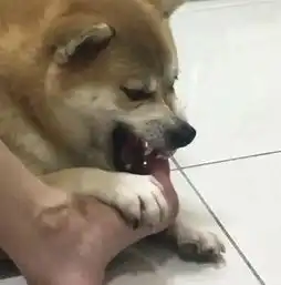  人生如戏12条让你哭笑不得的新闻第一条就够笑一整天