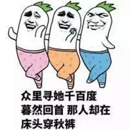 抖音随机骰子表情包秋裤
