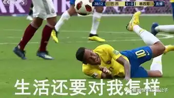  2018年世界杯真是表情包的天堂