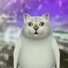 憨憨猫跳舞表情包动图