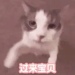 huh猫表情包动图有什么