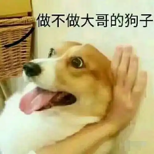  呵呵