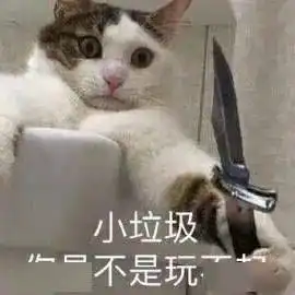  小垃圾,你是不是玩不起第295期喵表情