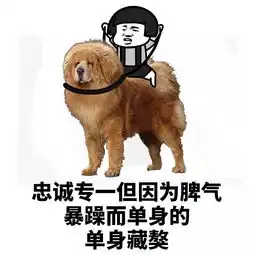  表情丨我觉得非常星