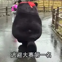  表情包丨我的自我介绍